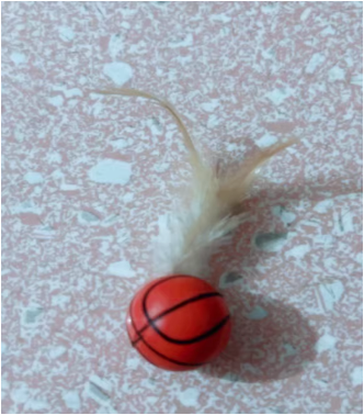 Feather Ball Cat Teaser Interactive Toy