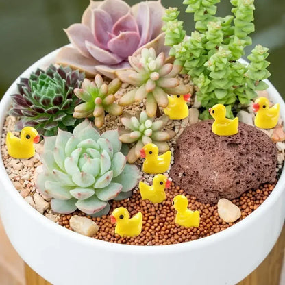Miniature Resin Ducks (Pack Of 10)