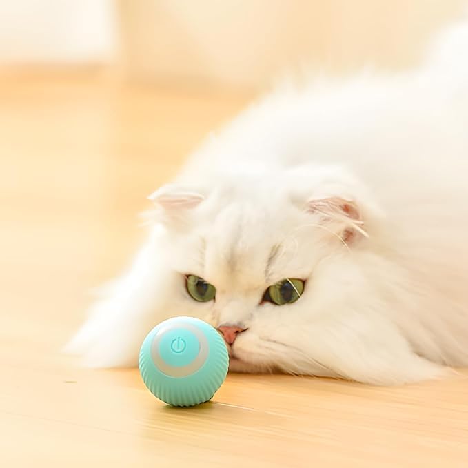 Automatic 360° Self-rotating Cat Ball Toy - Usb Rechargeable Led Pe...