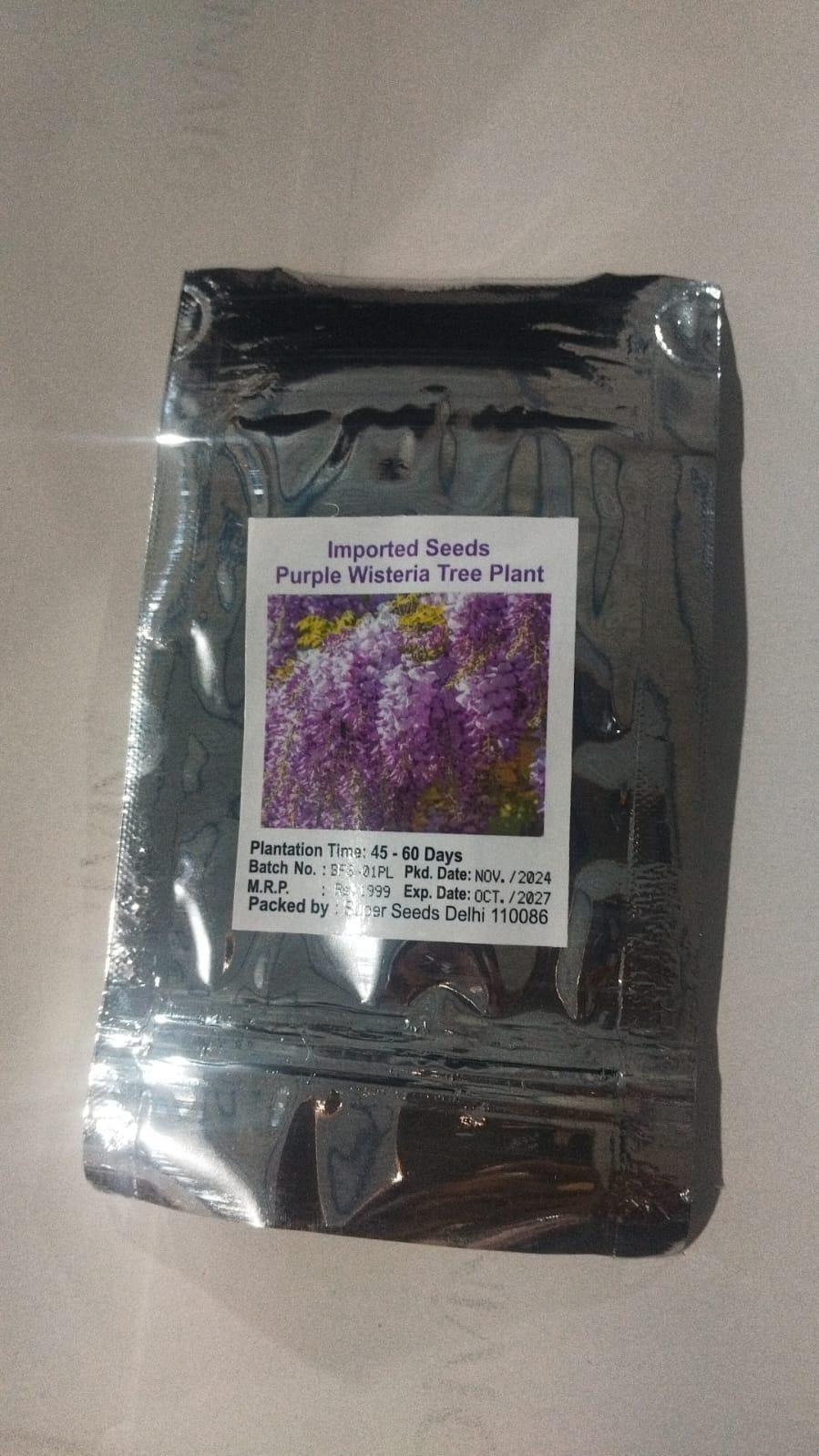 Cascading Beauty Garden Seeds - Blooms All Year Round