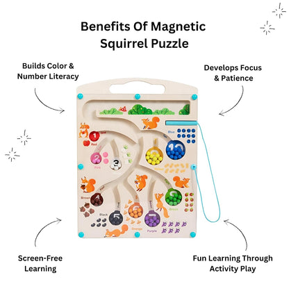 Magnetic Color and Number Maze