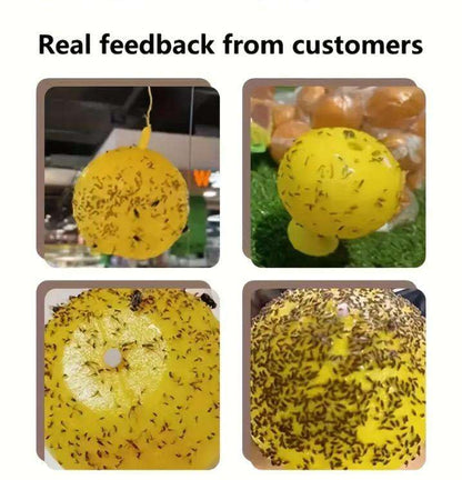 Fruit Fly Sticky Trap Ball