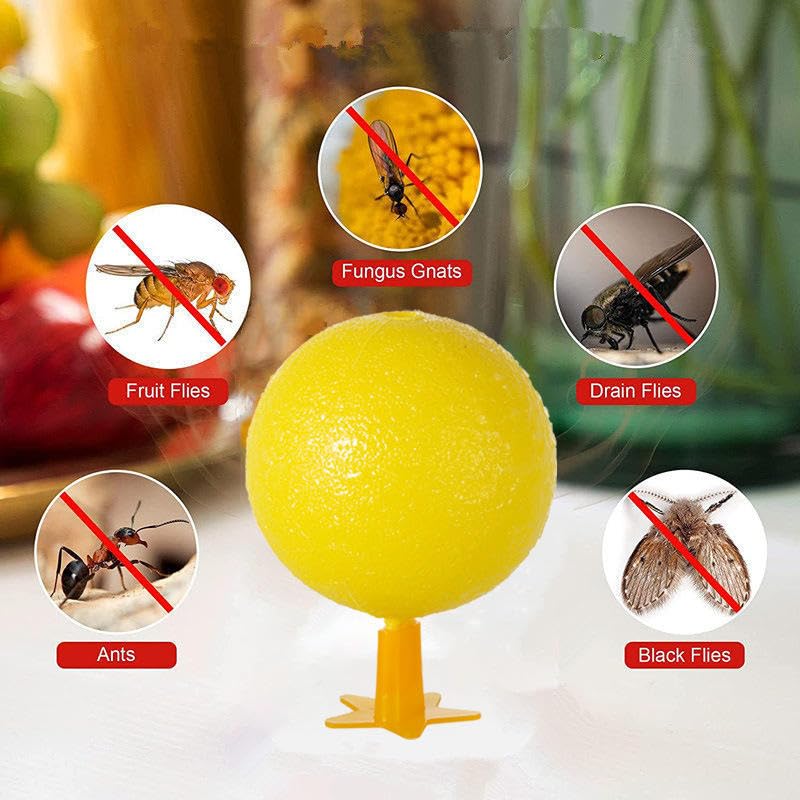 Fruit Fly Sticky Trap Ball
