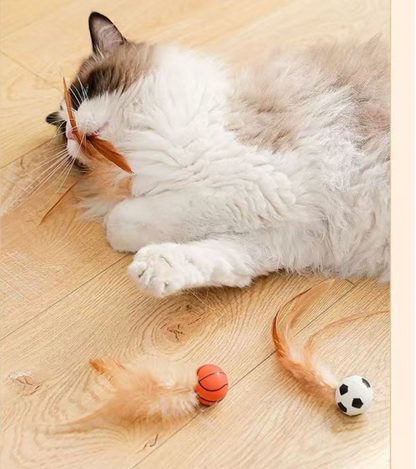 Feather Ball Cat Teaser Interactive Toy