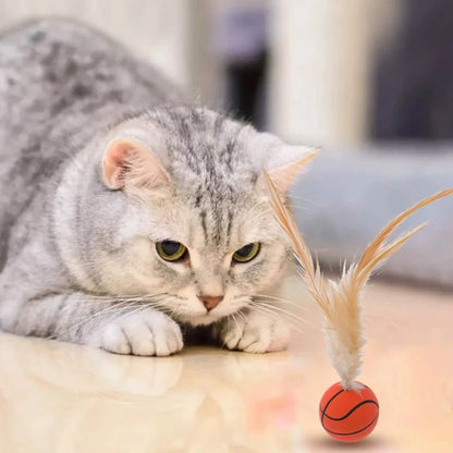 Feather Ball Cat Teaser Interactive Toy