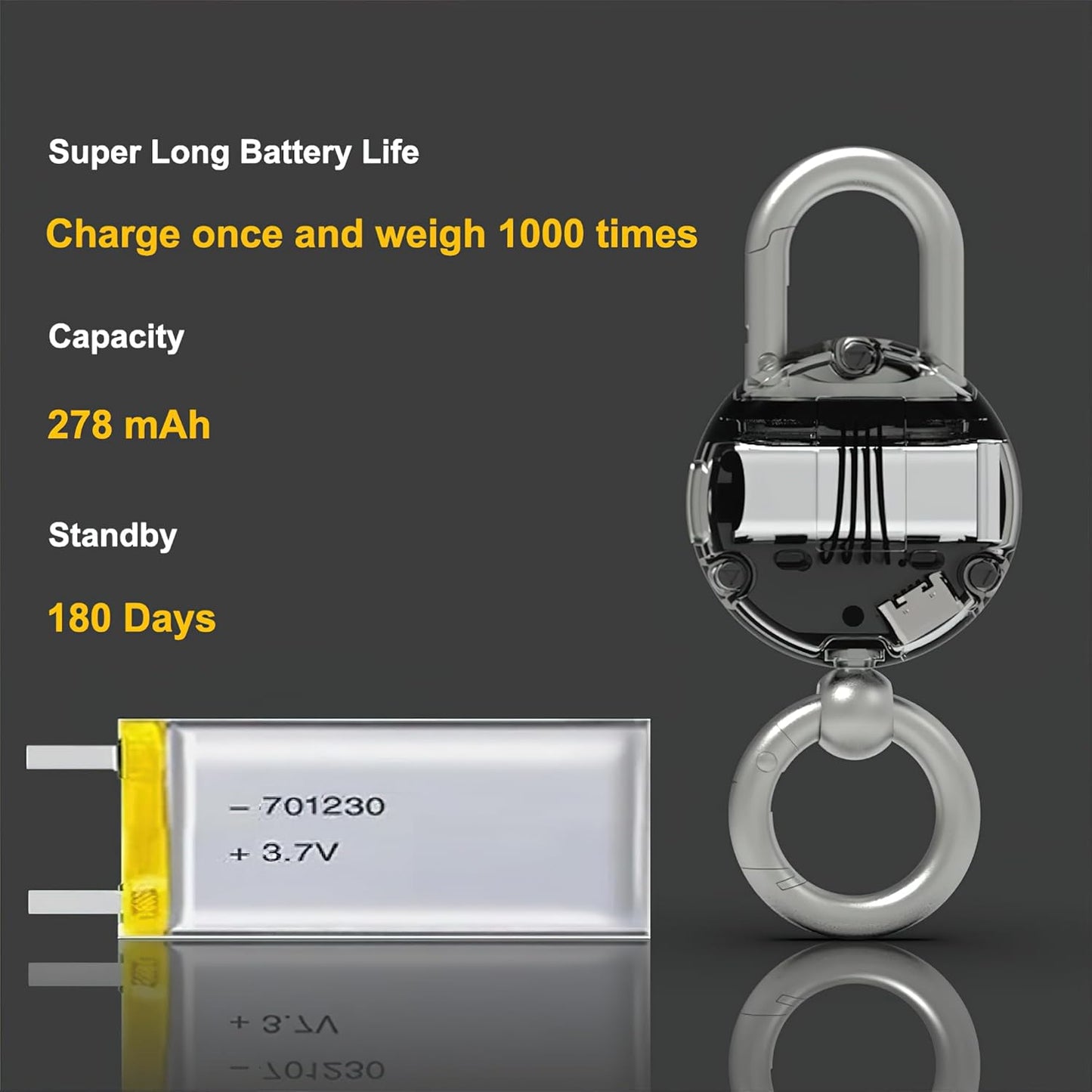 3-In-1 Scale Watch Keychain
