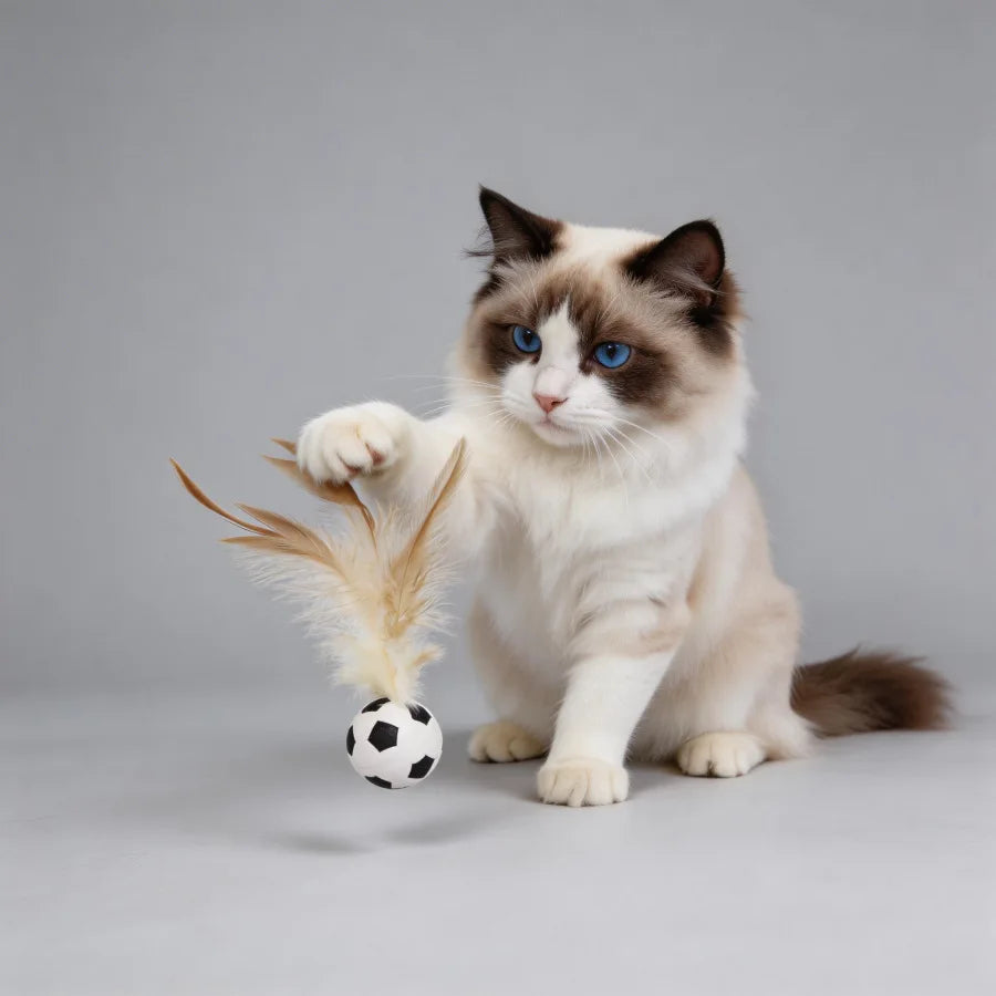Feather Ball Cat Teaser Interactive Toy