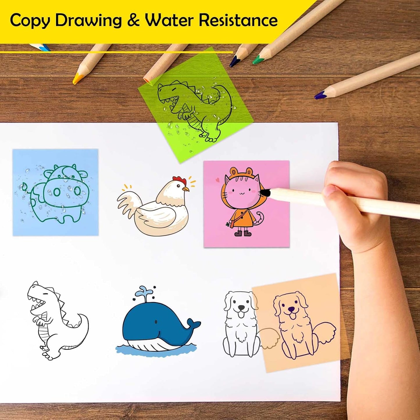 Transparent Sticky Notes (50 Sheets)