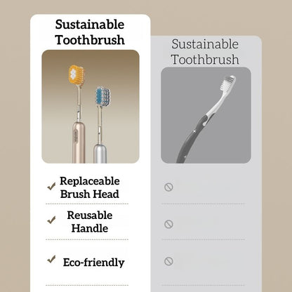 Toothbrush With Replaceable Brush Heads (Pack Of 2)