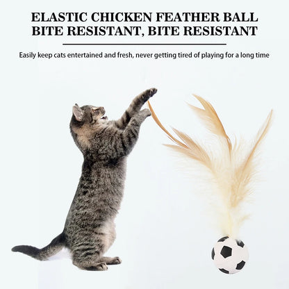 Feather Ball Cat Teaser Interactive Toy