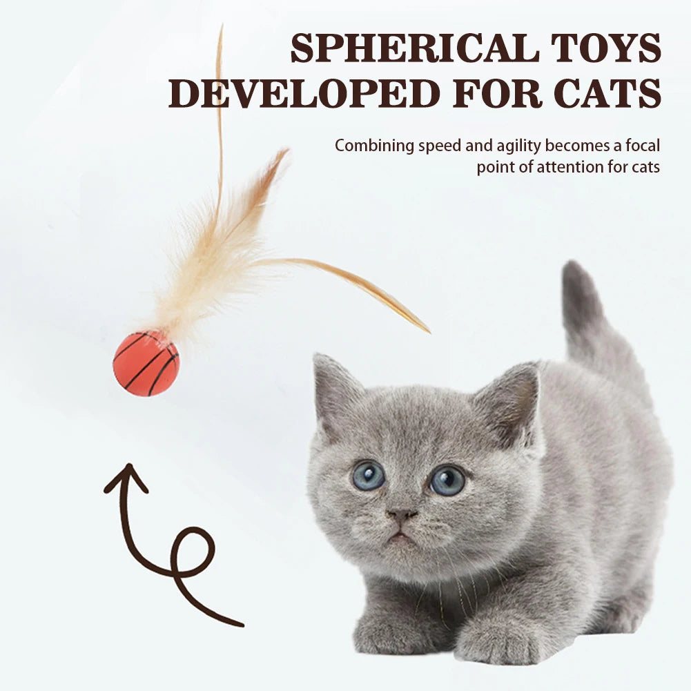 Feather Ball Cat Teaser Interactive Toy
