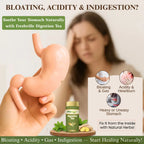 Freshville Digestion Tea