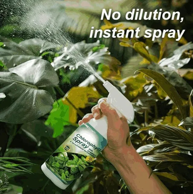Chlorophyll Spray 100ml - Plant Booster Leaf Greening Spray