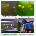 Water Purification Tablets For Fish Tank Pack Of 1
