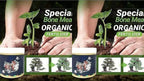 Special Bone Meal Organic Fertilizer Pack Of 2 - Boost Flowers Fruits