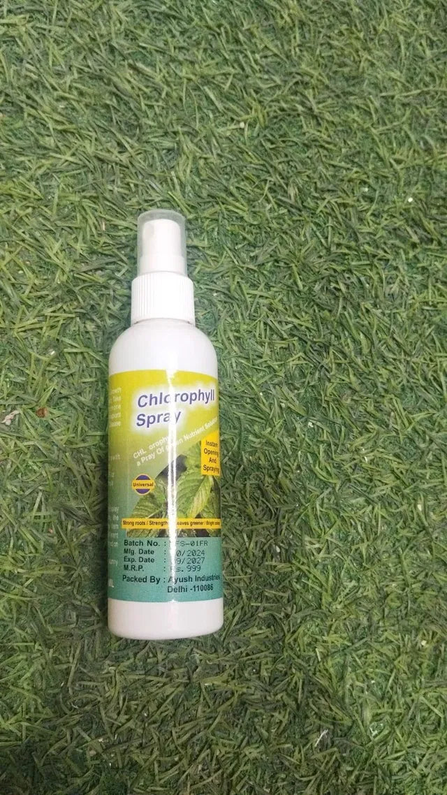 Chlorophyll Spray 100ml - Plant Booster Leaf Greening Spray