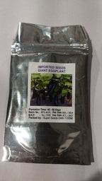Giant Eggplant Seeds - Grow Large Brinjal At Home