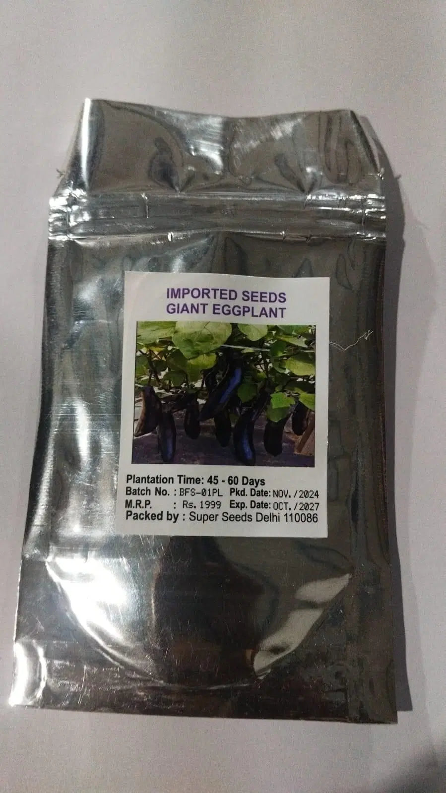 Giant Eggplant Seeds - Grow Large Brinjal At Home