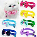 Abs Plastic Coller Belt For Pet Multicolor, Pack Of 2