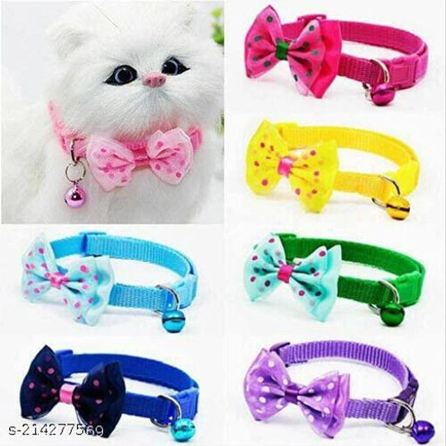 Abs Plastic Coller Belt For Pet Multicolor, Pack Of 2