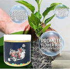 Special Bone Meal Organic Fertilizer Pack Of 2 - Boost Flowers Fruits