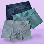 Mens Ice Silk Briefs Boxers Pack Of 3