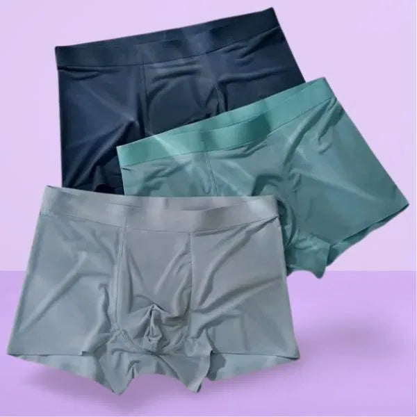 Mens Ice Silk Briefs Boxers Pack Of 3