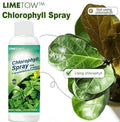 Chlorophyll Spray 100ml - Plant Booster Leaf Greening Spray