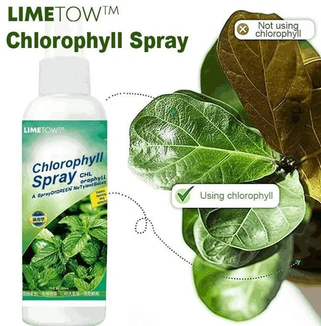 Chlorophyll Spray 100ml - Plant Booster Leaf Greening Spray