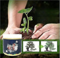 Special Bone Meal Organic Fertilizer Pack Of 2 - Boost Flowers Fruits