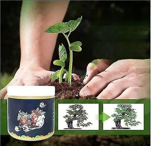 Special Bone Meal Organic Fertilizer Pack Of 2 - Boost Flowers Fruits