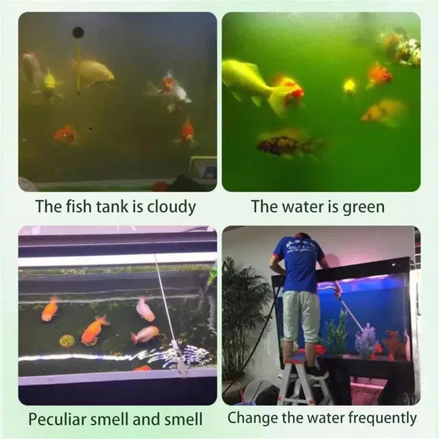 Water Purification Tablets For Fish Tank Pack Of 1