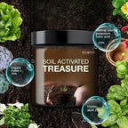Premium Soil Activator 200g Pack Of 2 - Boost Plant Growth Naturally