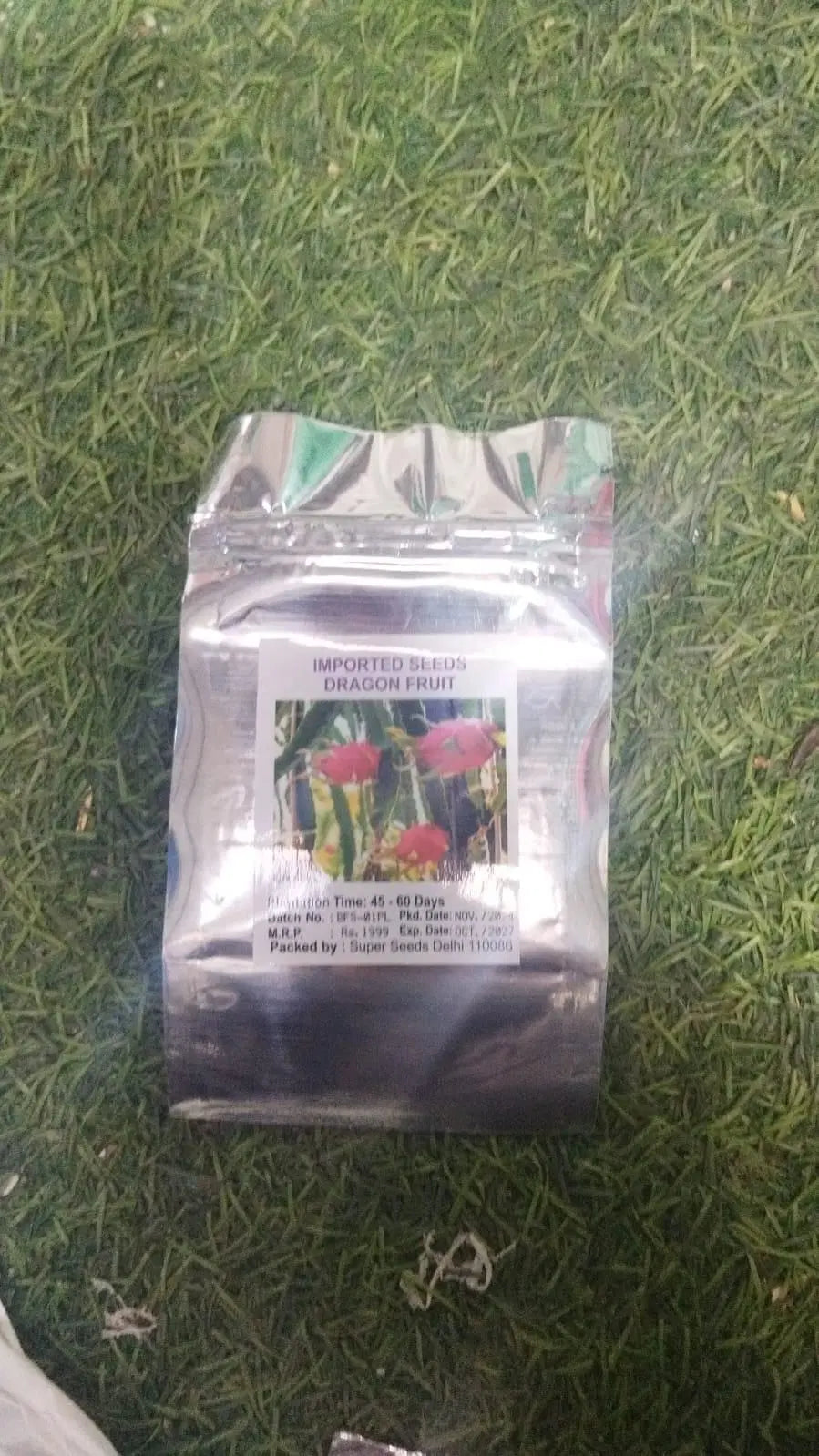 Multi-colored Dragon Fruit Seeds - Grow Exotic Pitaya At Home