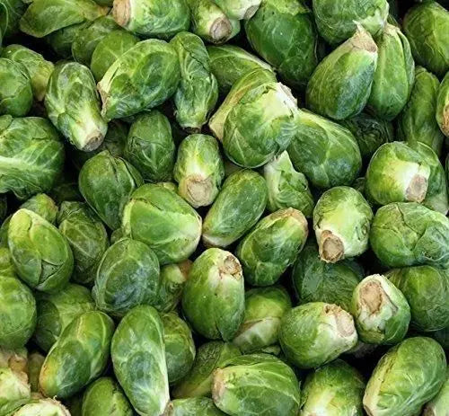 Nema Organic Brussels Sprouts Seeds - Grow Fresh Vegetables At Home