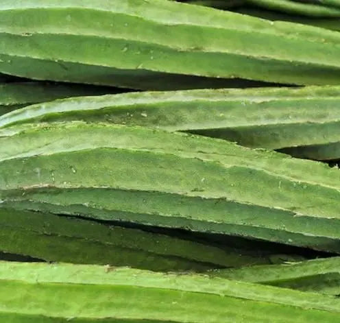 Luffa Ridge Gourd Heirloom Seeds - Grow Natural Loofah At Home