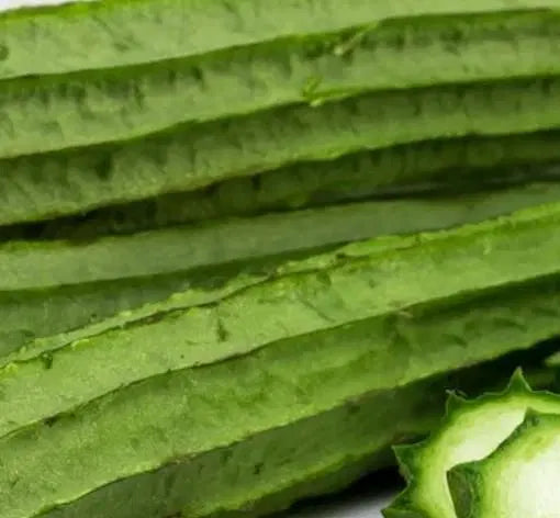 Luffa Ridge Gourd Heirloom Seeds - Grow Natural Loofah At Home