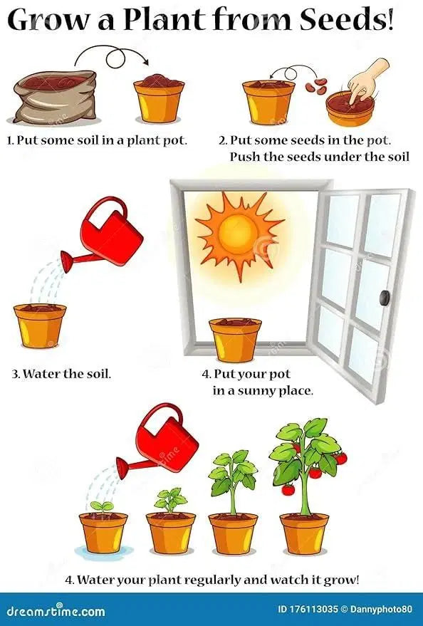 Mini Thumb Size Watermelon Seeds - Grow Tiny Watermelons At Home