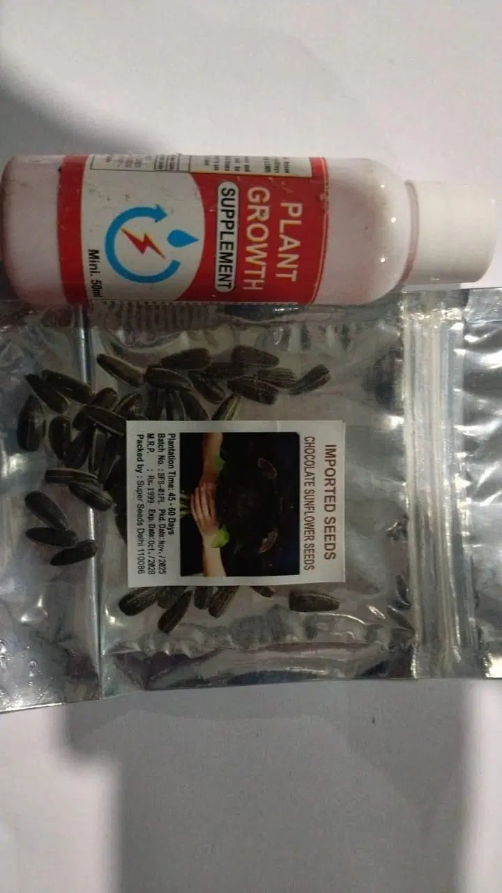 Chocolate Sunflower Seeds - Healthy Snack With Rich Cocoa Coating