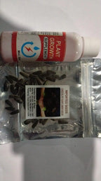 Chocolate Sunflower Seeds - Healthy Snack With Rich Cocoa Coating