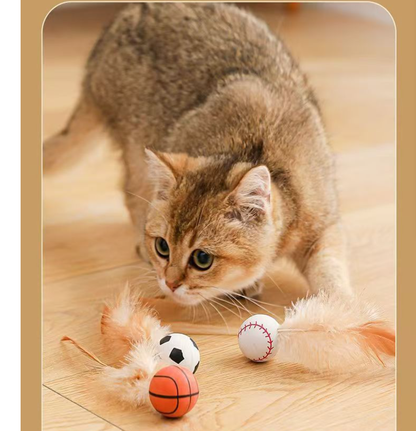 Feather Ball Cat Teaser Interactive Toy